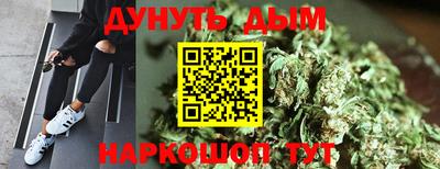 прущие грибы Усть-Джегута