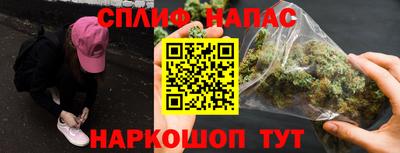прущие грибы Усть-Джегута