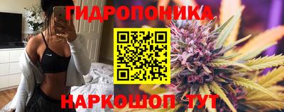 прущие грибы Усть-Джегута